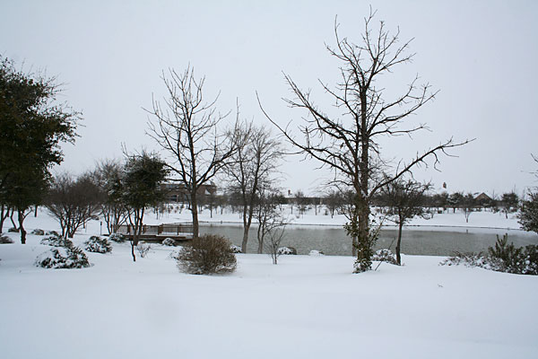 Photo of snow and pond