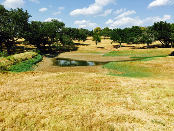 HSB pond - August, 2015