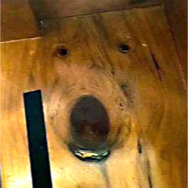 Photo: Knotholes making a dog's face in a piece of lumber