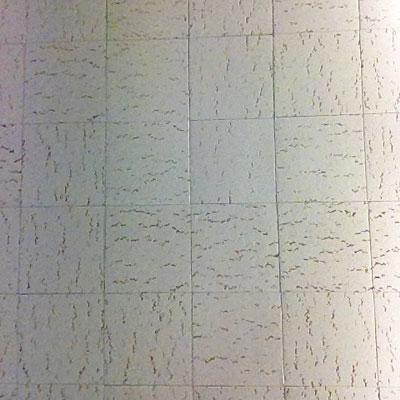 Photo - Ceiling tiles