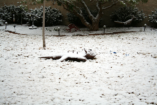 Photo of snow-covered yard art