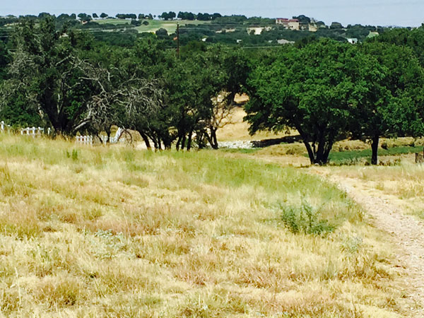 HSB field - August, 2015