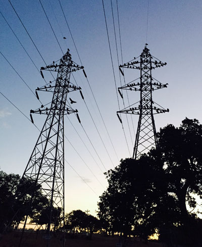 Buzzards perched on towers