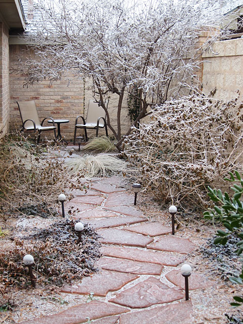 Photo of an ice-covered yard