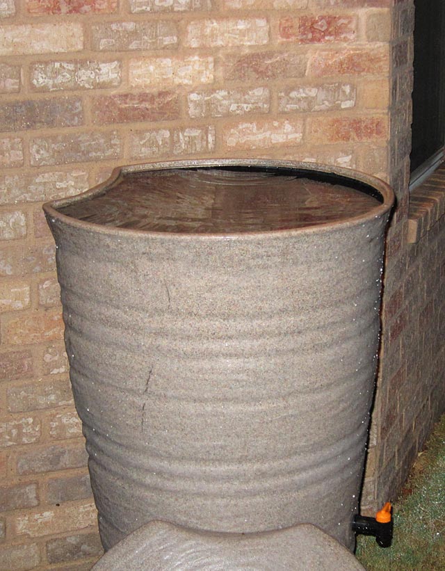Photo of full rain barrel