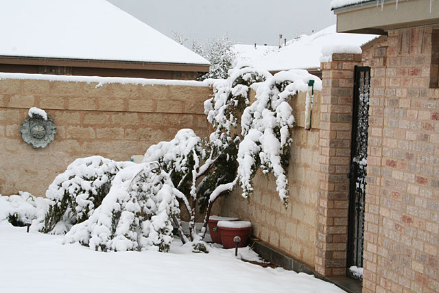 Photos of snow in Midland, Texas