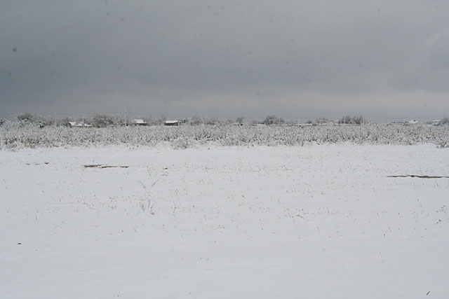 Photos of snow in Midland, Texas