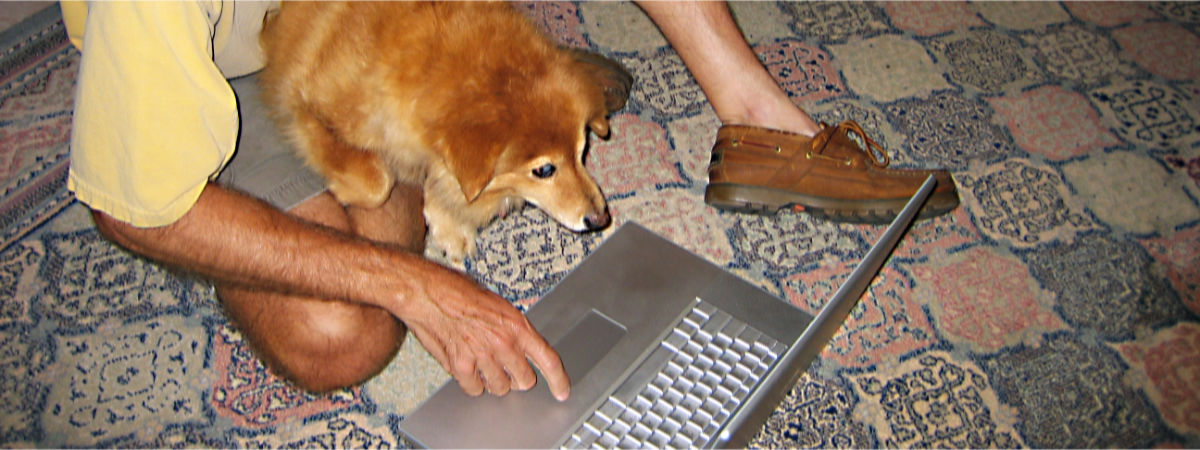 Photo: Abbye focused on a laptop screen