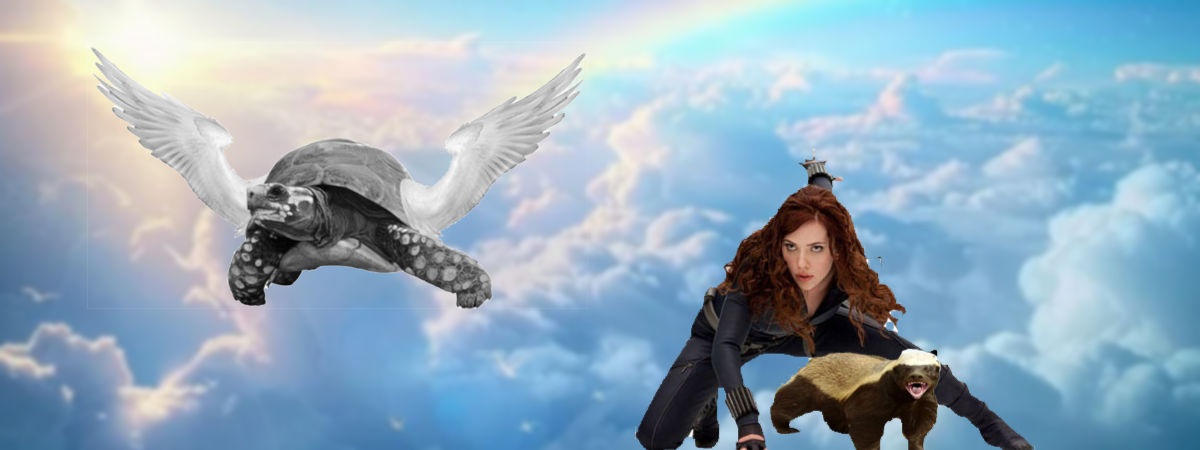 Graphic: Flying turtle, Scarlett Johansson with a badger