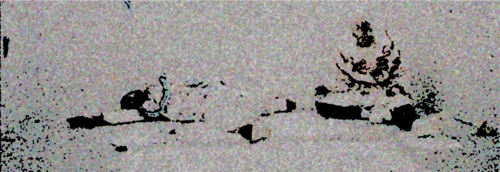 Abstract graphic of two wounded (or deceased) bodies