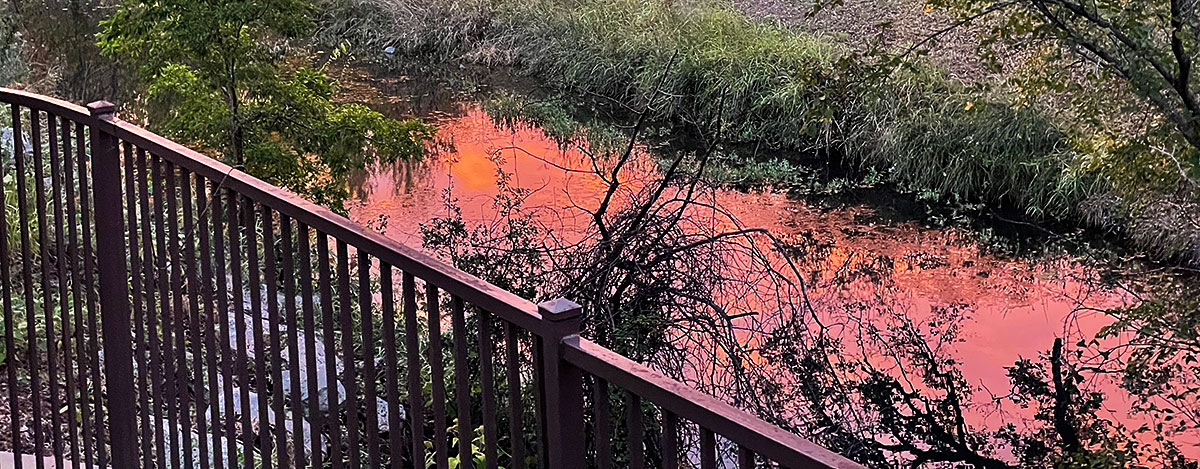 Photo: Pecan Creek lit by a setting sun, as viewed from my back yard