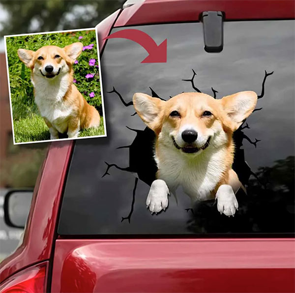 Photo of a decal showing a shark breaking out of the back window of a car