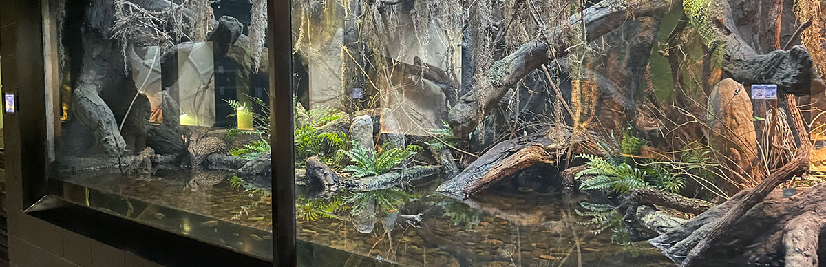 Photo - Exhibit at Reptilandia Reptile Lagoon zoo