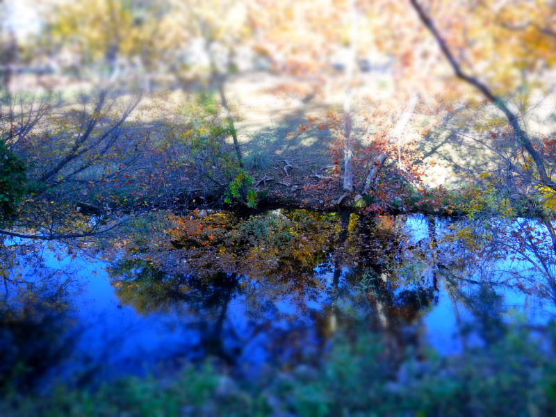 Photo: A highly processed image of a section of Pecan Creek where the water reflects the trees on the bank.