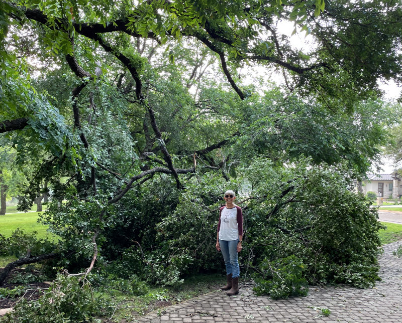 Photo: Debbie stands in front of a huge pile of downed limbs, courtesy of an overnight wind storm.