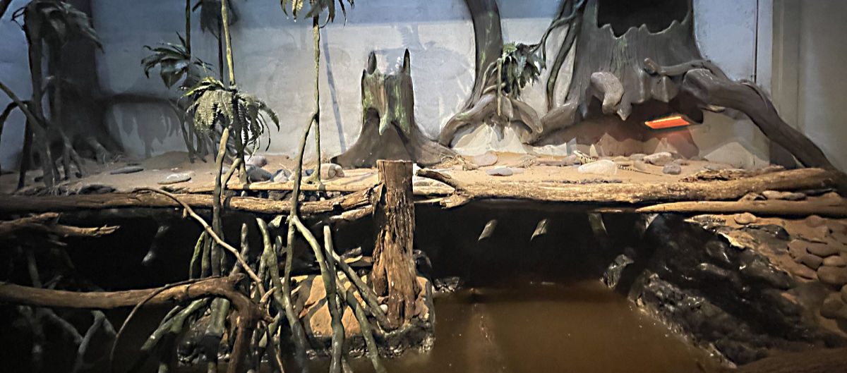 Photo: Exhibit in tropical wing of Reptilandia Reptile Lagoon, Johnson City, TX