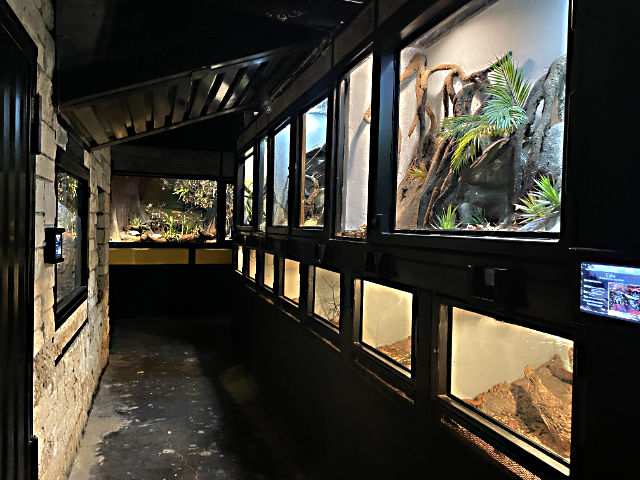 Photo: Hallway of new exhibits in the tropical wing of Reptilandia Reptile Lagoon, Johnson City, TX