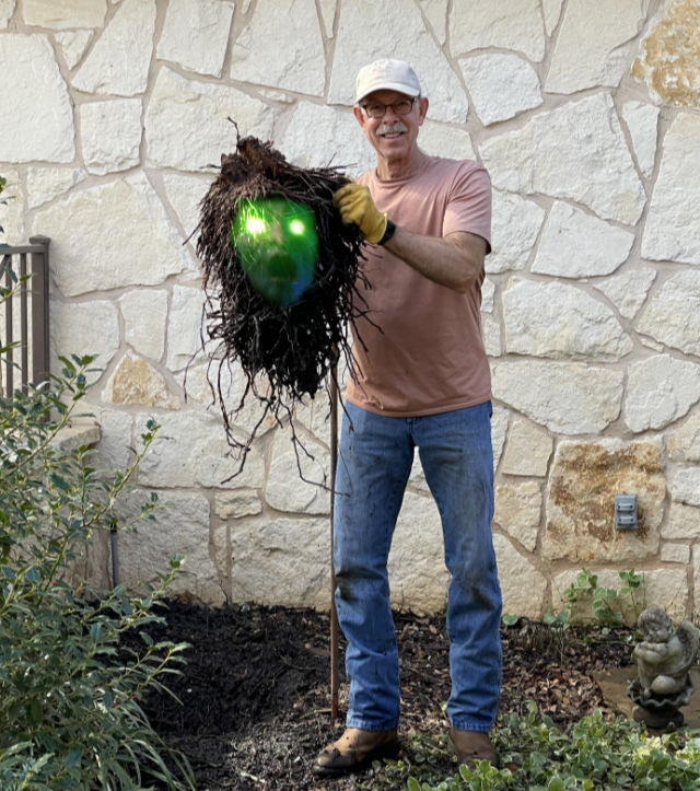 Photo: Me holding the root ball of a palm tree with glowing eyes