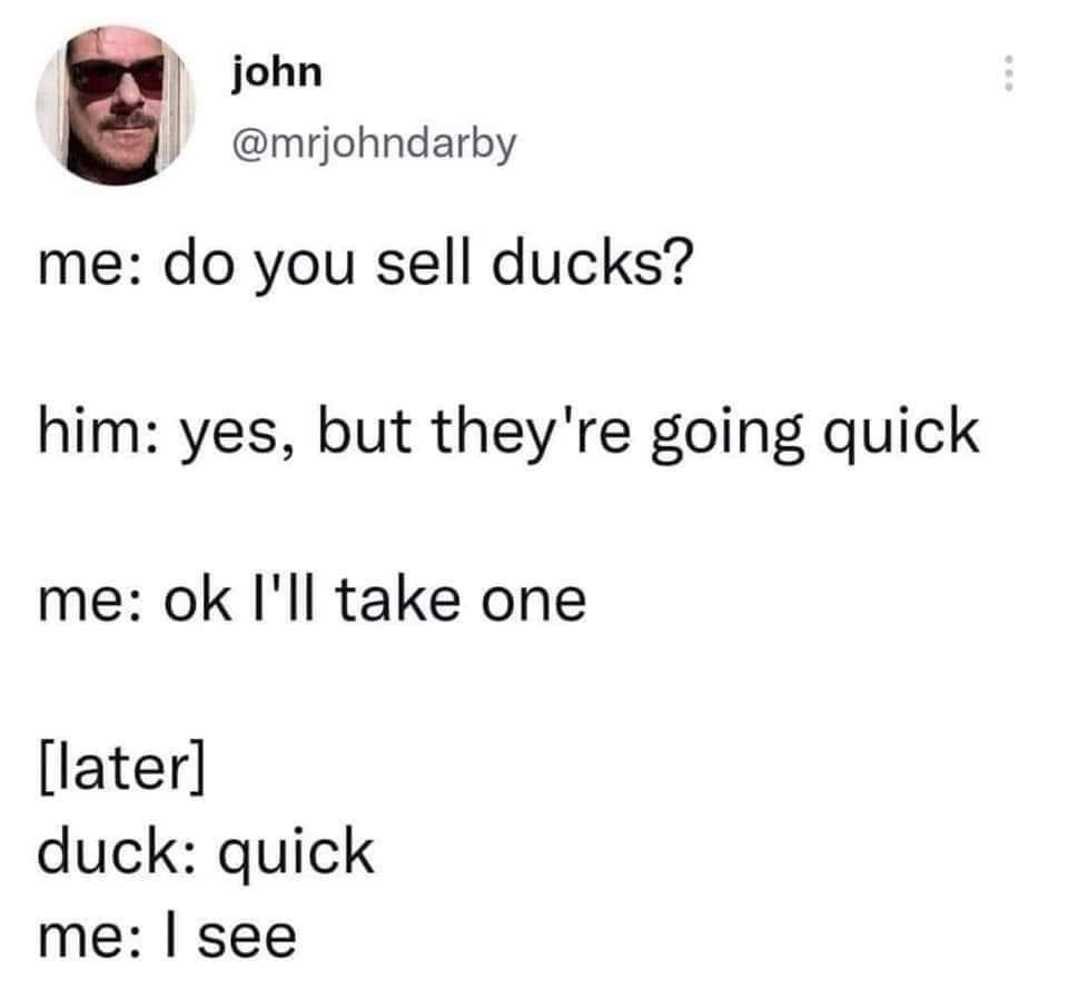 Meme: Ducks that go quick