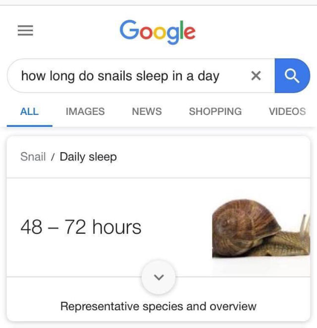 Meme: Google result showing that snails sleep 48-72 hours in a day