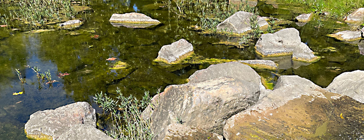 Photo: Rocks and water in Pecan Creek, Horseshoe Bay, Texas