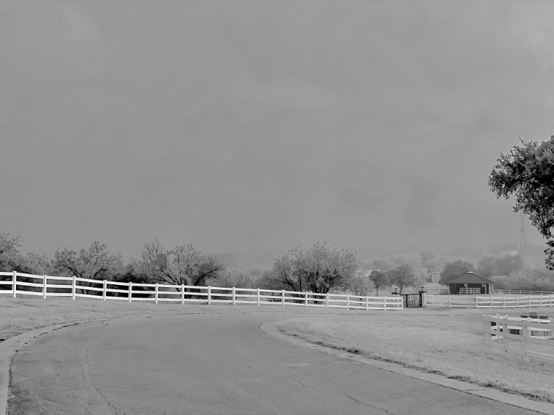 B&W photo: foggy morning in Horseshoe Bay, TX