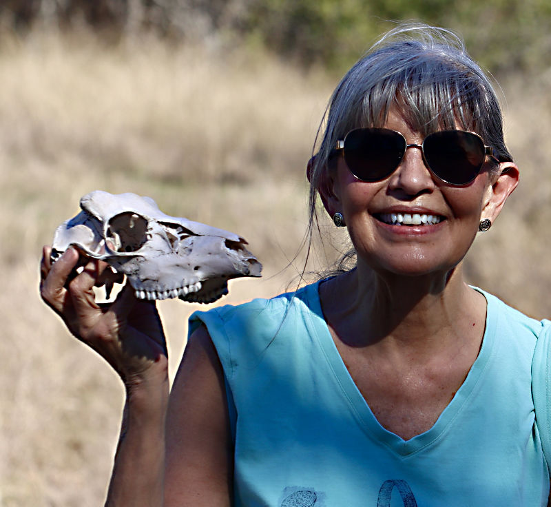 Photo: smiling woman holding the skull of a deer