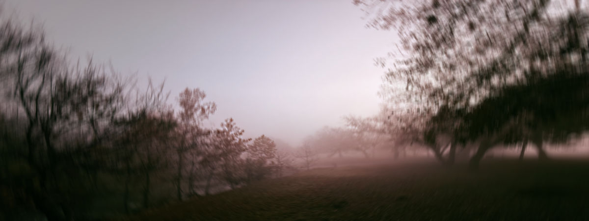 Blurry foggy morning