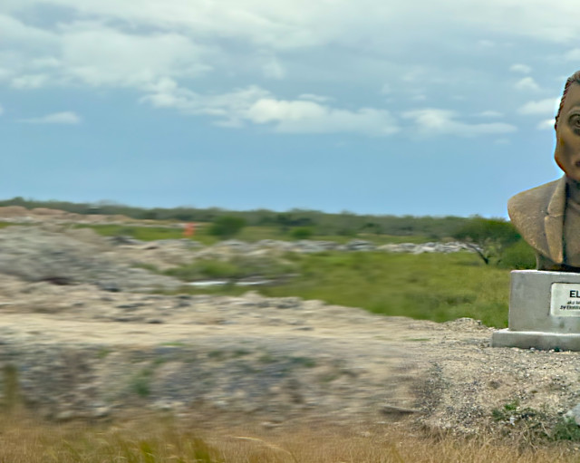 Photo: partial image of a huge roadside bust of Elon Musk on the road leading to SpaceX's Starbase at Boca Chica, Texas