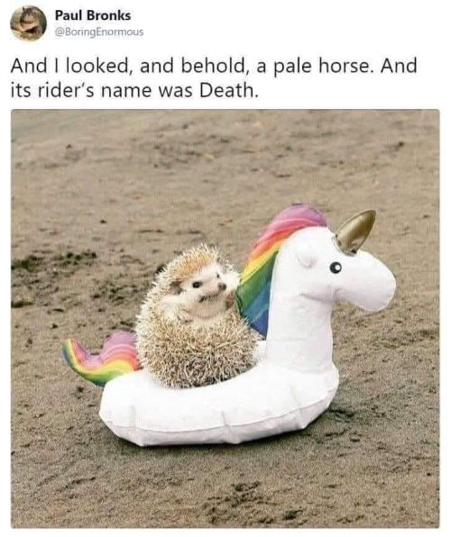 Meme: hedgehog sitting on a unicorn float toy, depicting a rider on a pale horse