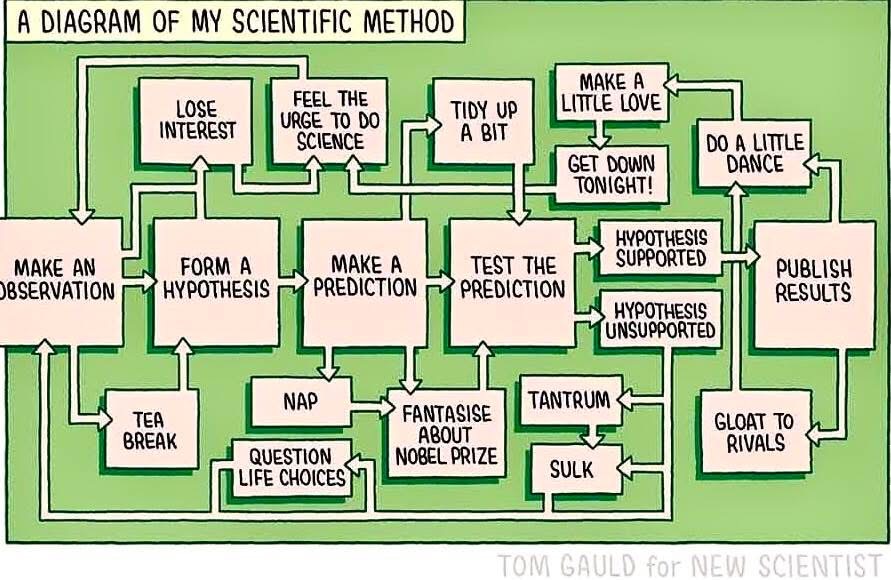 Meme: Cartoon diagram of scientific method that includes a nap