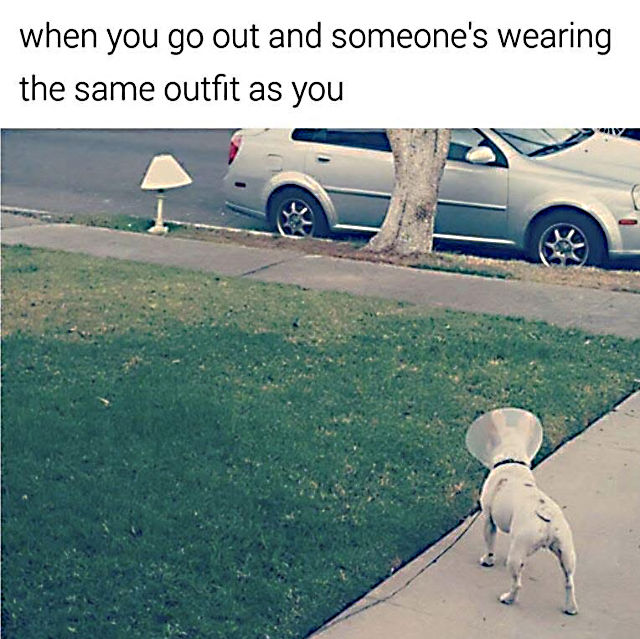 Meme - Dog wearing cone of shame and staring at a discarded lamp on the sidewalk with a shade that matches the cone