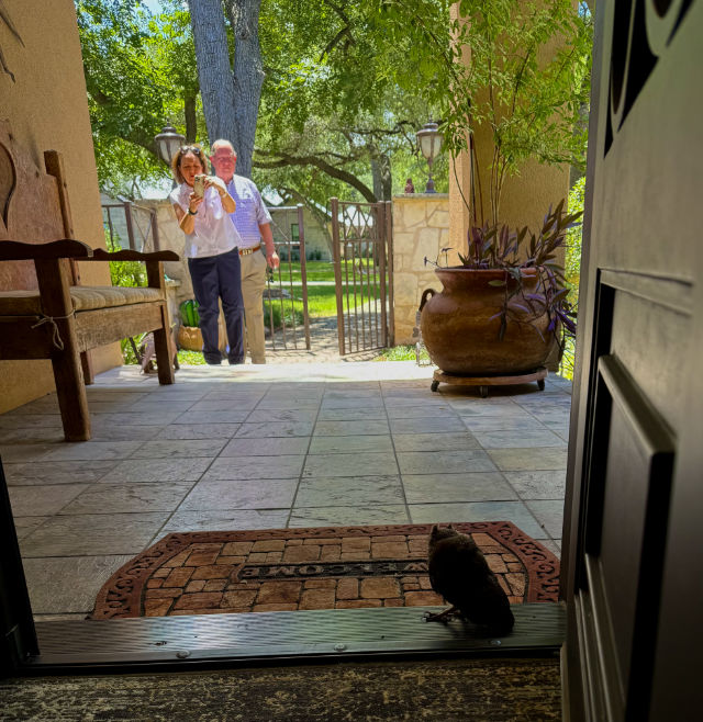 Photo: Screech owl standing on our front door threshold, staring at visitors walking up to the porch