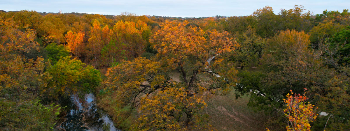 Photo: Aerial (drone) photo of what passes for Fall color in Central Texas
