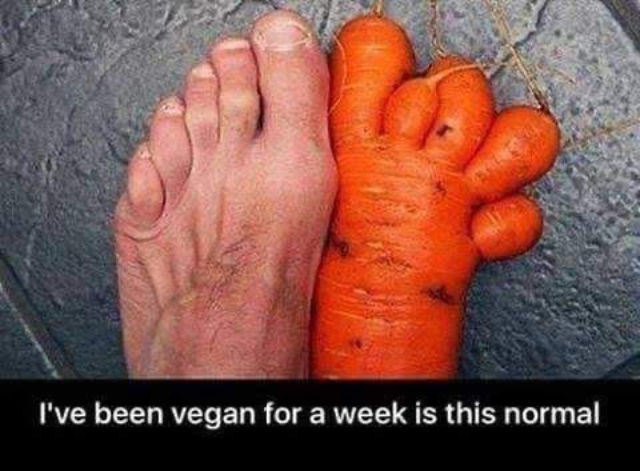 Meme: Carrot-toed vegan
