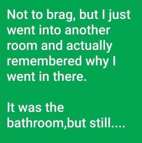 Meme: Bragging about remembering why you're in the bathroom