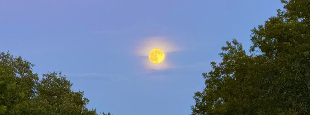 Photo: Yellow full moon against a blue sky in Texas