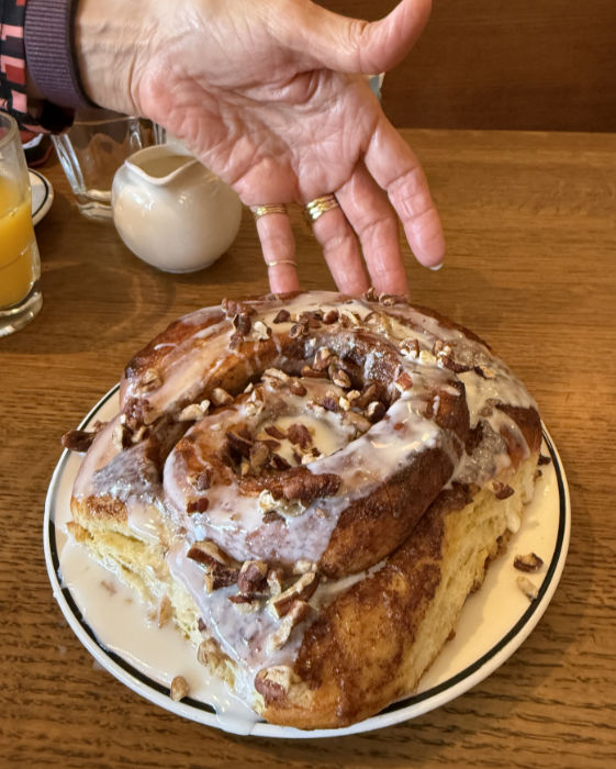 Photo of a huge cinnamon roll