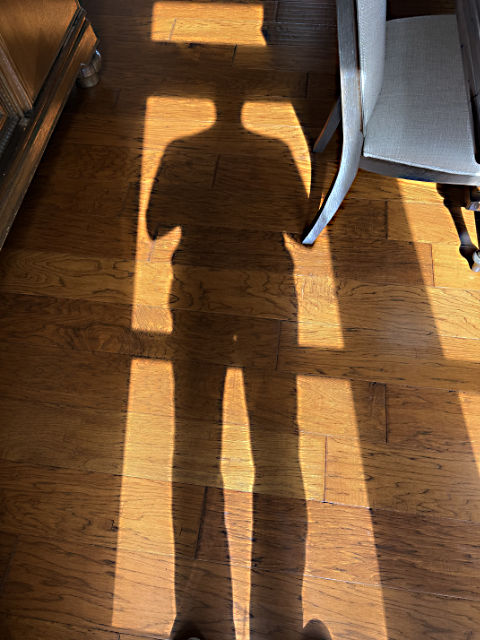 Photo: My shadow while I stand in the sunlight coming through a window on a cold winter's day