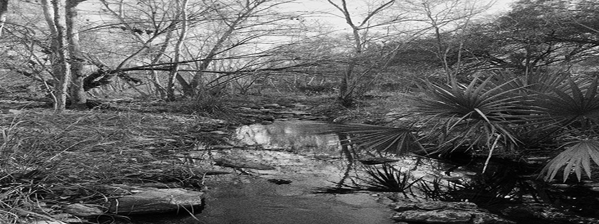 Black and white photo (via Mood app) of Pecan Creek