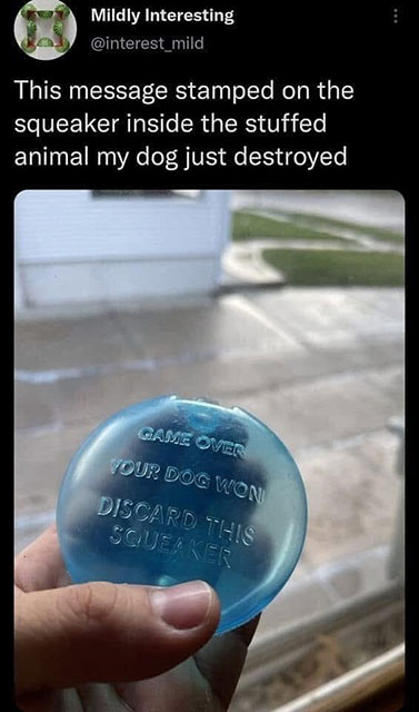 Meme: Message stamped on a dog toy squeaker