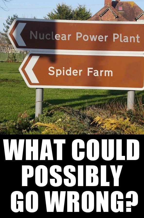 Meme: Nuclear Power Plant sign next to a Spider Farm sign