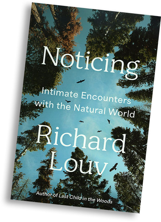Book cover: Noticing - Richard Louv