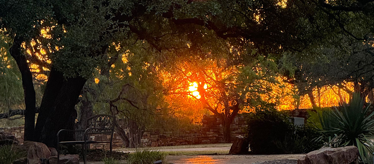 Photo — Brilliant sunrise viewed through trees in Horseshoe Bay, Texas