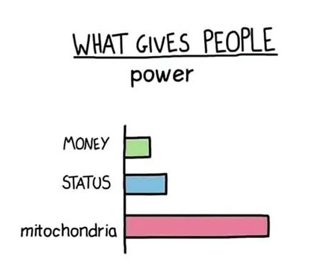 Meme: What gives people power