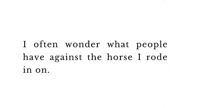 Meme: do not hate on my horse