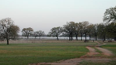 Photo - Misty Fredericksburg Morning